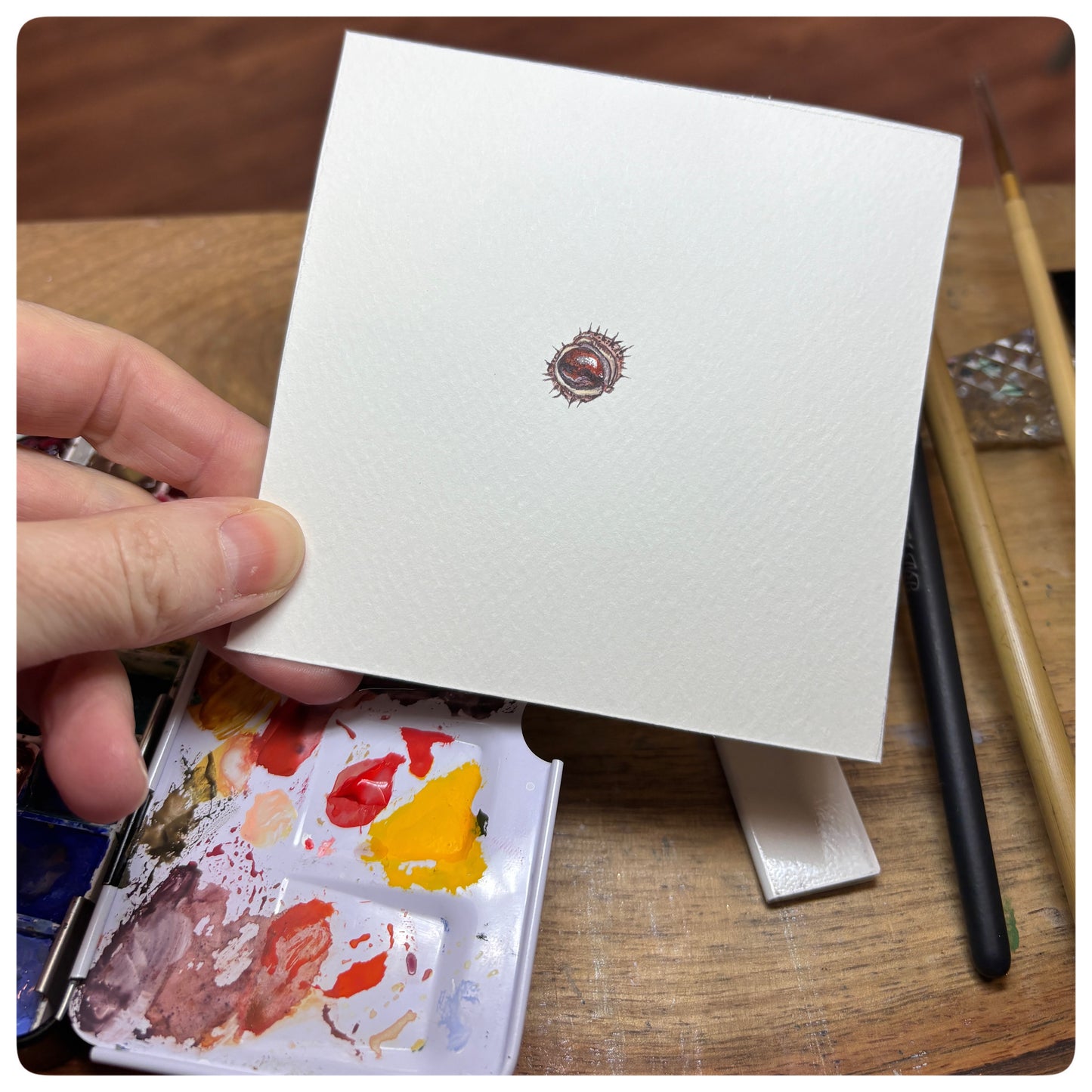 Autumn Conker Miniature