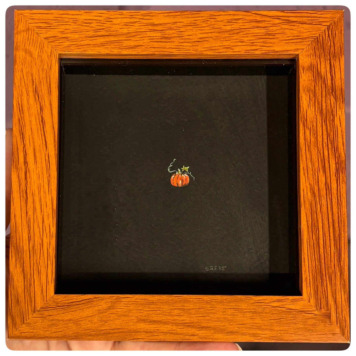 Black Pumpkin Miniature