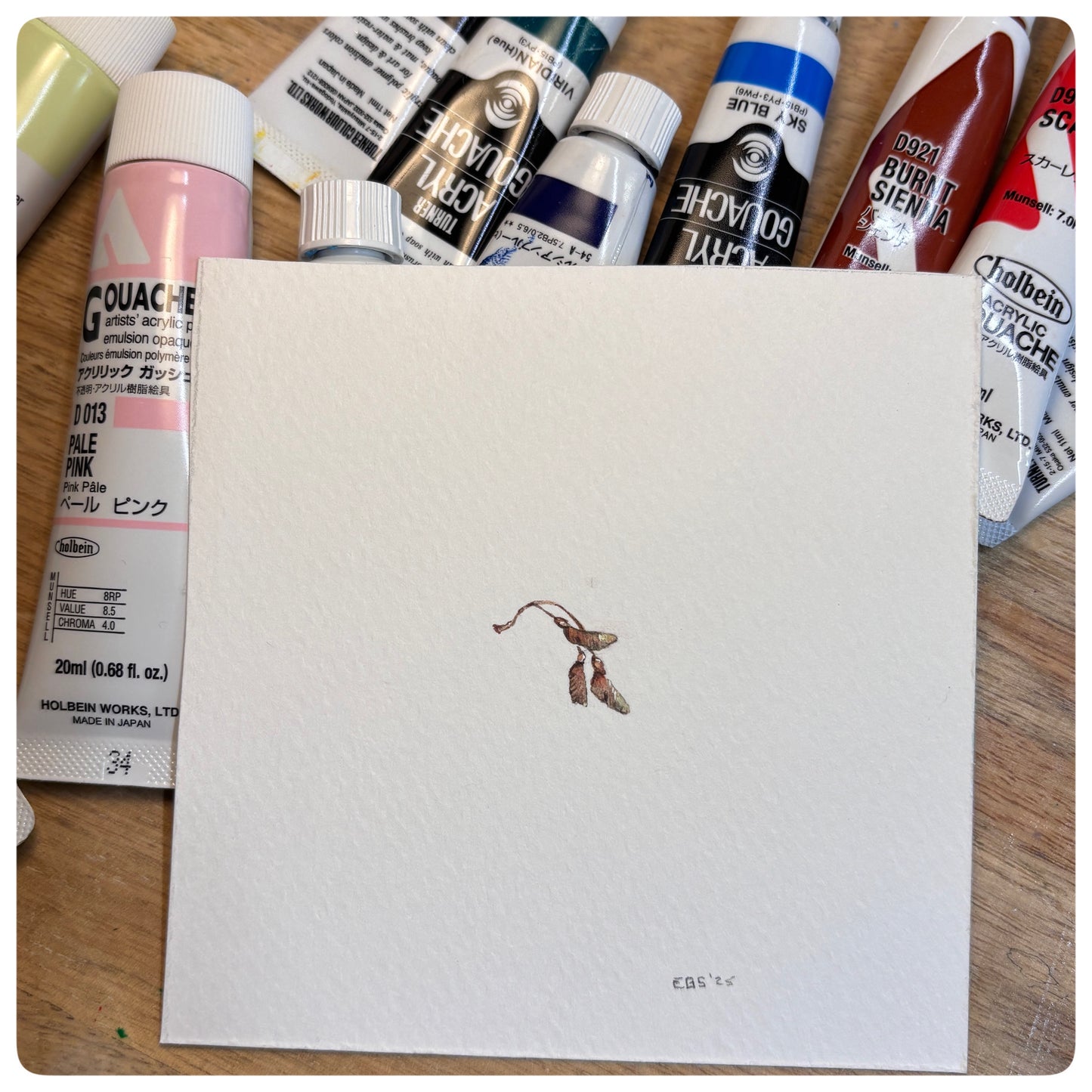 Sycamore Key Miniature