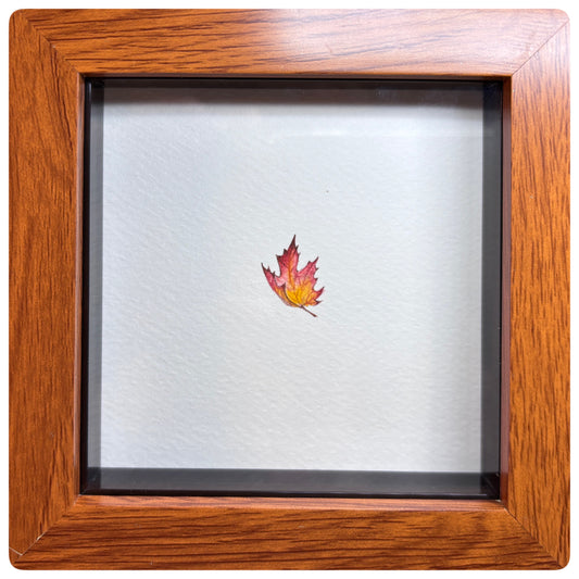 Maple Leaf Miniature