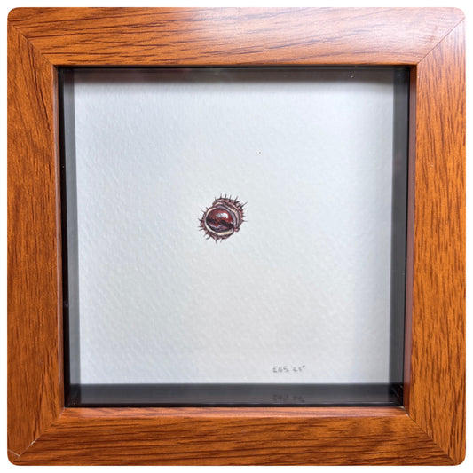 Autumn Conker Miniature