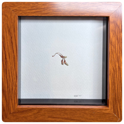 Sycamore Key Miniature