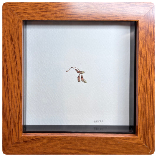 Sycamore Key Miniature